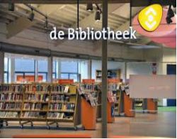 de bibliotheek